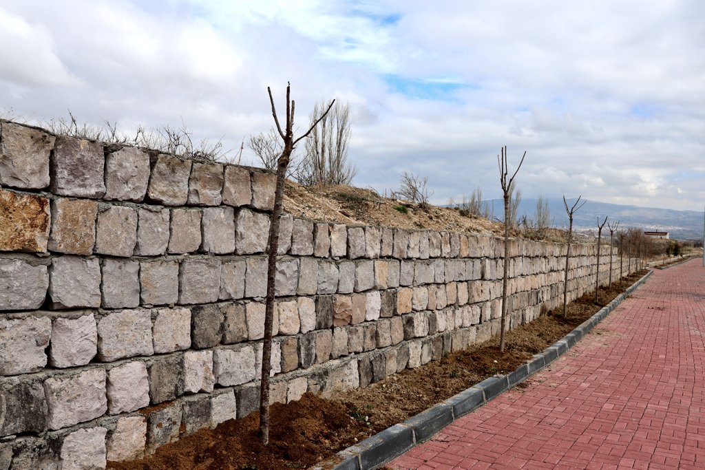 Esentepe Mevki Ağaçlandırma Çalışmamız Tamamlandı.